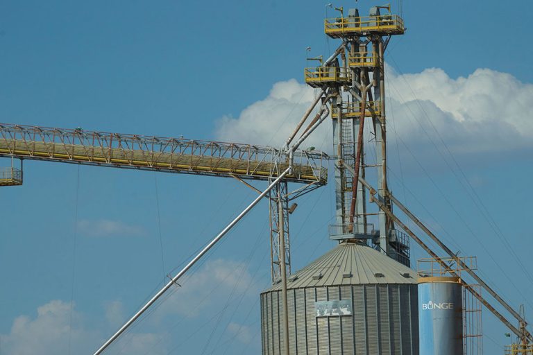 A Bunge tem silos de armazenamento de commodities a menos de um quilômetro da fazenda Parnaguá I, em Santa Filomena-PI. Segundo documento financeiro de 2024, a multinacional holandesa foi responsável por 10% da compra de grãos da SLC. foto: Mariana Greif/O Joio e O Trigo
