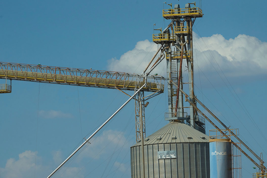A Bunge tem silos de armazenamento de commodities a menos de um quilômetro da fazenda Parnaguá I, em Santa Filomena-PI. Segundo documento financeiro de 2024, a multinacional holandesa foi responsável por 10% da compra de grãos da SLC. foto: Mariana Greif/O Joio e O Trigo