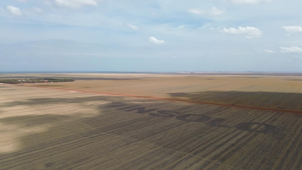 Em Santa Filomena-PI, inscrição com nome do grupo de Ricardo Faria em lavoura da fazenda Fortaleza, que até 2020 era controlada por fundo de Harvard (Foto: Mariana Greif/O Joio e O Trigo)